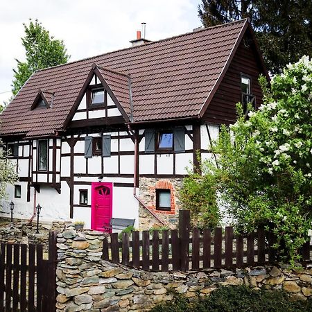 Za Rozowymi Drzwiami Vila Jelenia Góra Exterior foto