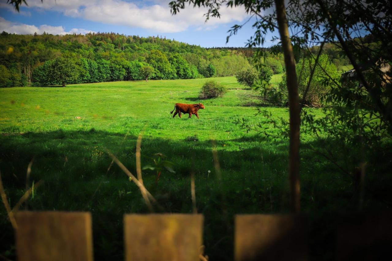 Za Rozowymi Drzwiami Vila Jelenia Góra Exterior foto